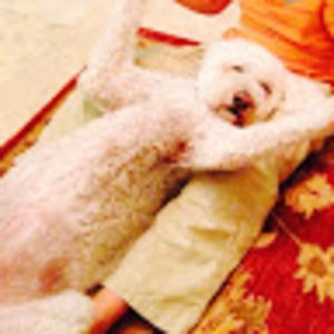 Meet your Posher, Ava